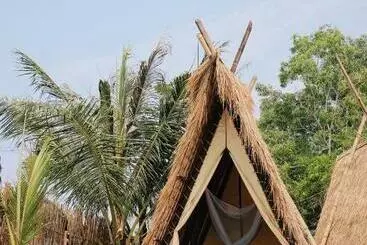 Pensió Young Wild And Free