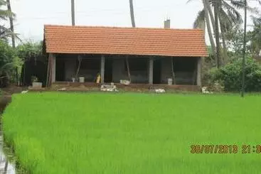 Pensiune Ocean Sparrow Stay