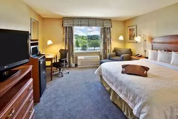ホテル Hampton Inn Rutland