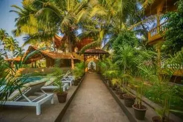 Justa Morjim Beach Resort Goa   80 Steps From Morjim Beach