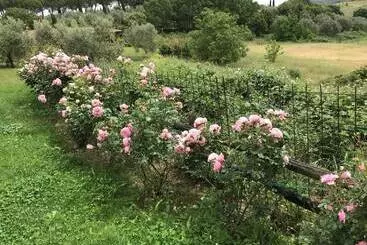 Bed and Breakfast Casale Vicino Al Golf Nazionale