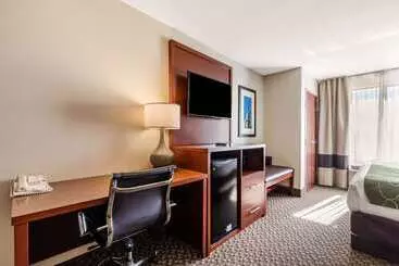 فندق Comfort Suites Tuscaloosa Near University