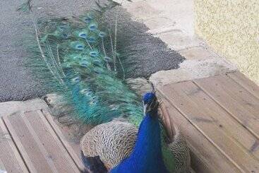 فندق Au Domaine Du Cerf