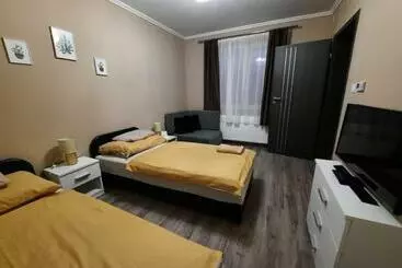 Bed and Breakfast Borostyán Panzió