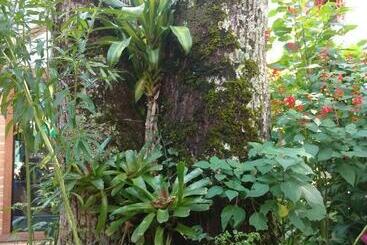 بنسيون Pouso Da Lua