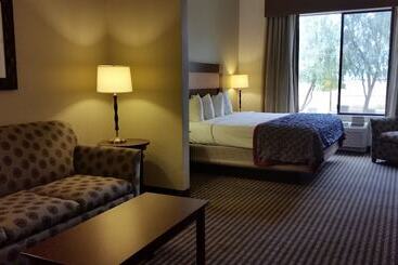 Otel Spark By Hilton Phoenix East Mesa