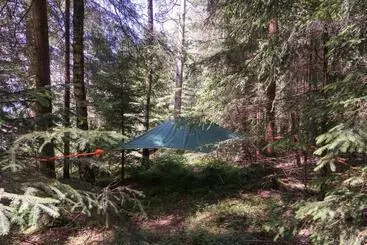 Bed and Breakfast Baumzelt Im Wald