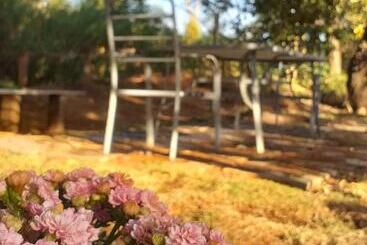 Pension Pousada Villa Aurora