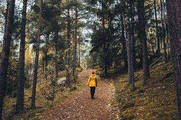 Pensione Vollsnes Gjestehus