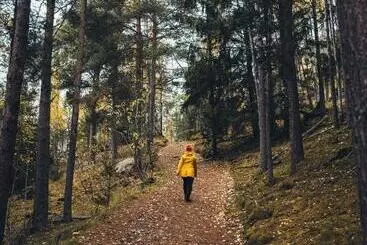 ペンション Vollsnes Gjestehus