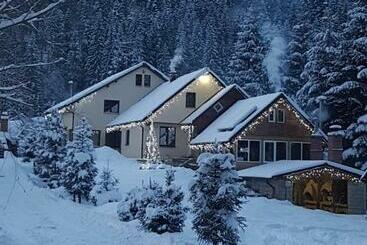 Pensiunea Zorile Tarcaului