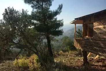 ベッドアンドブレックファースト Ida Bay Bungalows