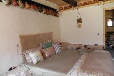 פנסיון Iedera Casa De Familii 2