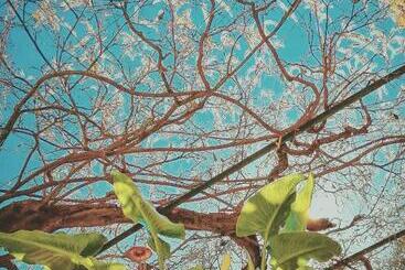 Bed and Breakfast La Maison Hilarion