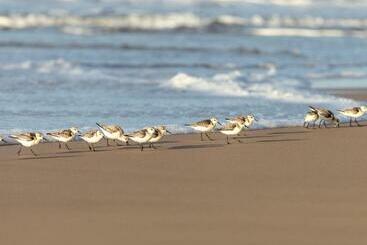 Erika27 Top B&b Choice