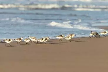 Erika27 Top B&b Choice