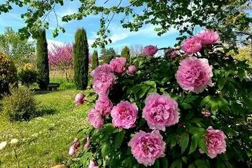 Aamiaismajoitus (B&B) Casa Stella Country House