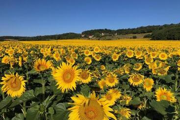 住宿加早餐 La Cour Des Délices