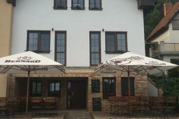 ペンション Penzion šedivý