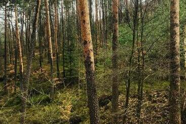 펜션 Penzion Nový Mlýn