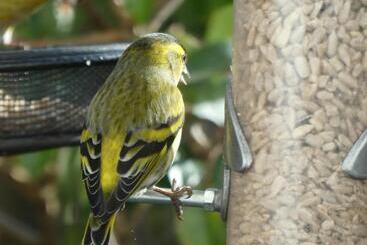Bed and Breakfast The Millers Cottage