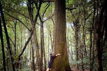 ペンション Maison D Hôtes Chez Aud