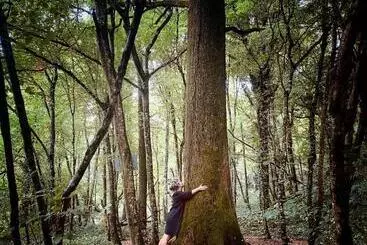 Majatalo Maison D Hôtes Chez Aud