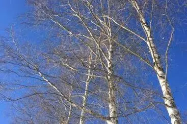 Bed & Breakfast La Masca