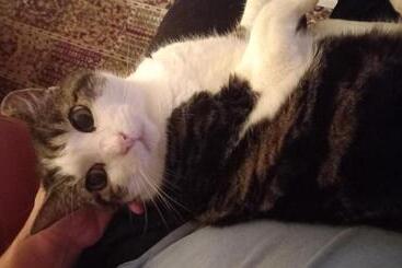 مبيت وإفطار Le Vallon De Bargemon