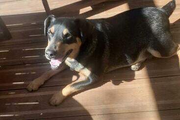 צימר Chambre D Hote Woody