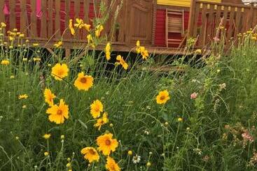 Bed and Breakfast La Roulotte De L Ami Nature