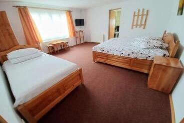 Pensiunea Cristiana Bucovina