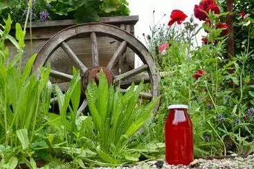 ベッドアンドブレックファースト Falkenau