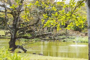 Shanti Maurice Resort & Spa