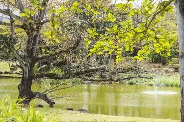 Shanti Maurice Resort & Spa