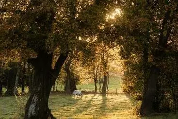 B&b La Gotale