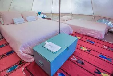 Todos Santos Hostel Super Fast And Stable Satellite Wifi