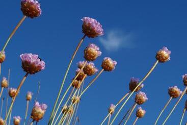 펜션 Blue Guide Milfontes