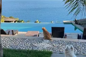B&bilfortesulmare