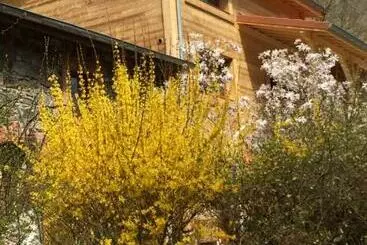 Aamiaismajoitus (B&B) Les Sittelles De Bamboche