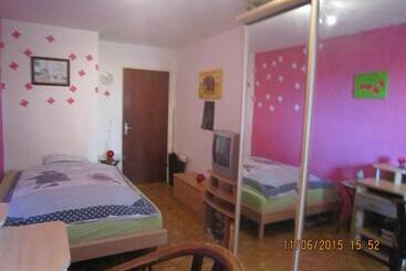 Bed and Breakfast Schönes Zimmer In Der City Basel