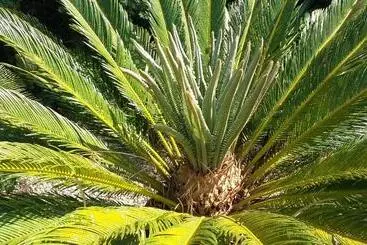 Pensão Casetta Vacanza In Campagna