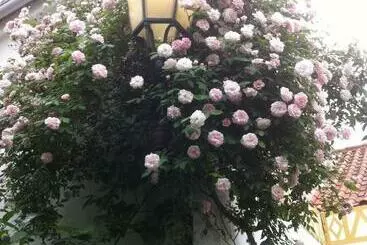 ベッドアンドブレックファースト Patio Das Flores