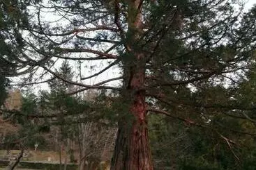 Aamiaismajoitus (B&B) La Grange De La Coste