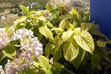 Hotel Hôtel Koutoubia