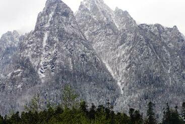 Pensão Vila Nik Busteni