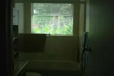 Island View B&b