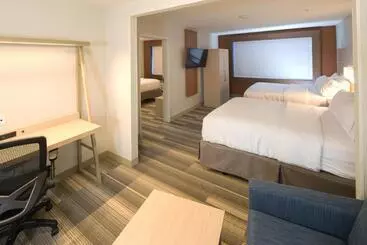 Holiday Inn Express Hotel & Suites Detroit Utica, An Ihg