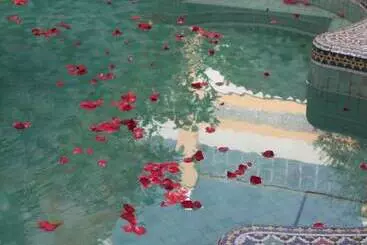 فندق Palais Amani