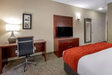Hotel Comfort & Inn Suites